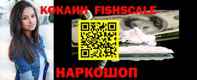 дмт Сланцы
