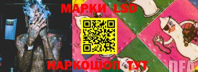 дмт Сланцы