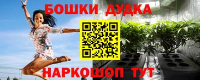 дмт Сланцы