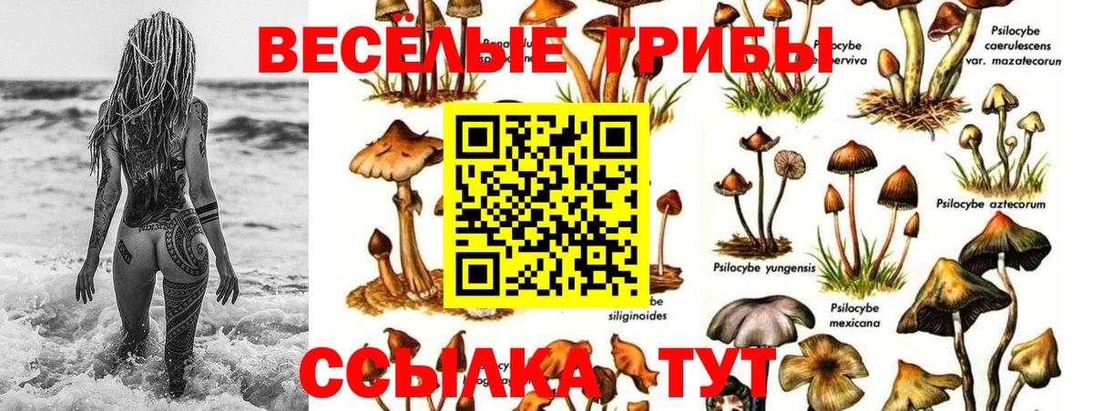 Галлюциногенные грибы MAGIC MUSHROOMS Нурлат